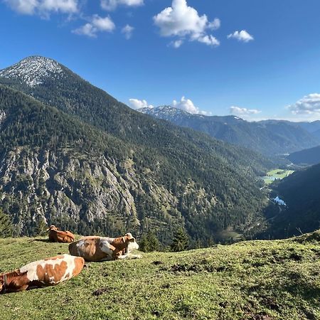 Landhaus Renata - Wendelstein Bayrischzell Eksteriør bilde